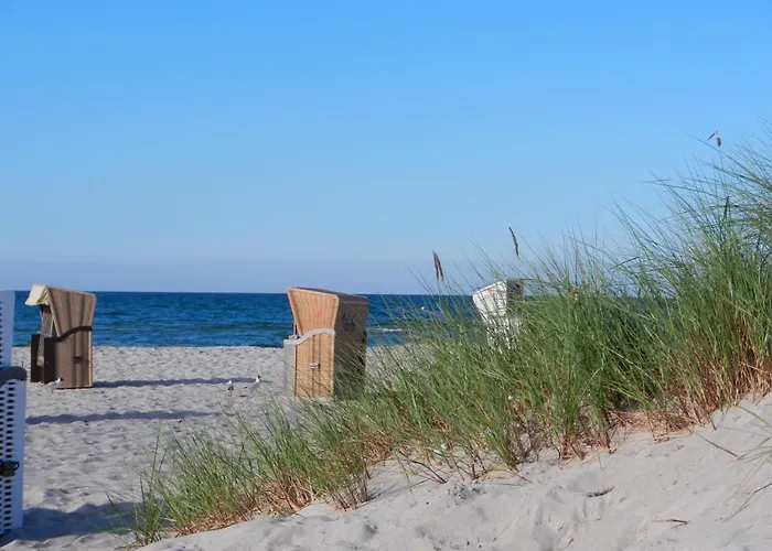 Hausboot Floating 44 In - Boot 2 Ferienhaus